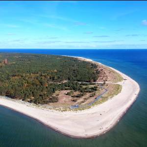 Hel - sea lion 6655963