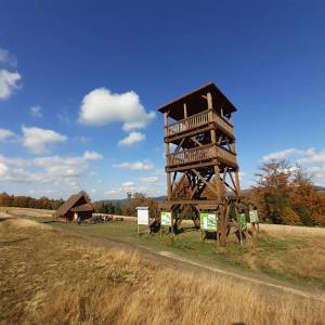 Beskid Śląski - z Brennej Centrum na Stary Groń - 20221007 141604