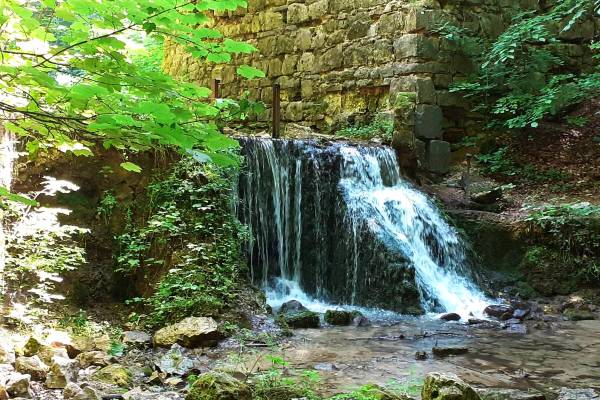 Dolina Eliaszówki - 20220625 114451