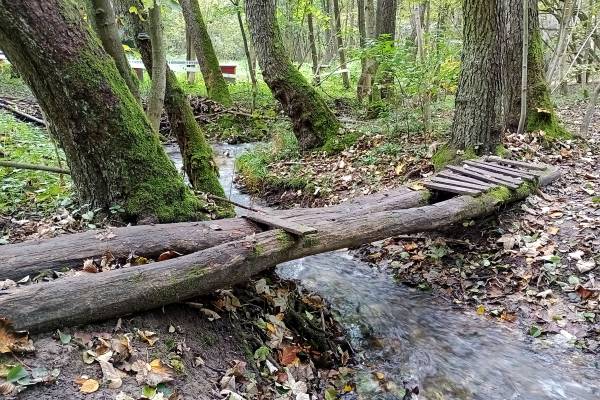 Spacer w Dolinie Kluczwody - img 20231014 144805091 mfnr