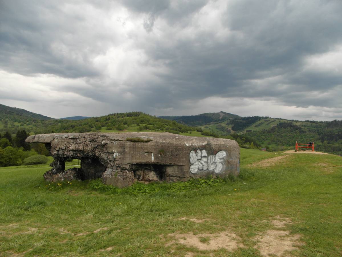 Pozycja "Węgierska Górka" - sam 3678